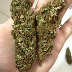 NHẠC BAY VÀO ĐÂY