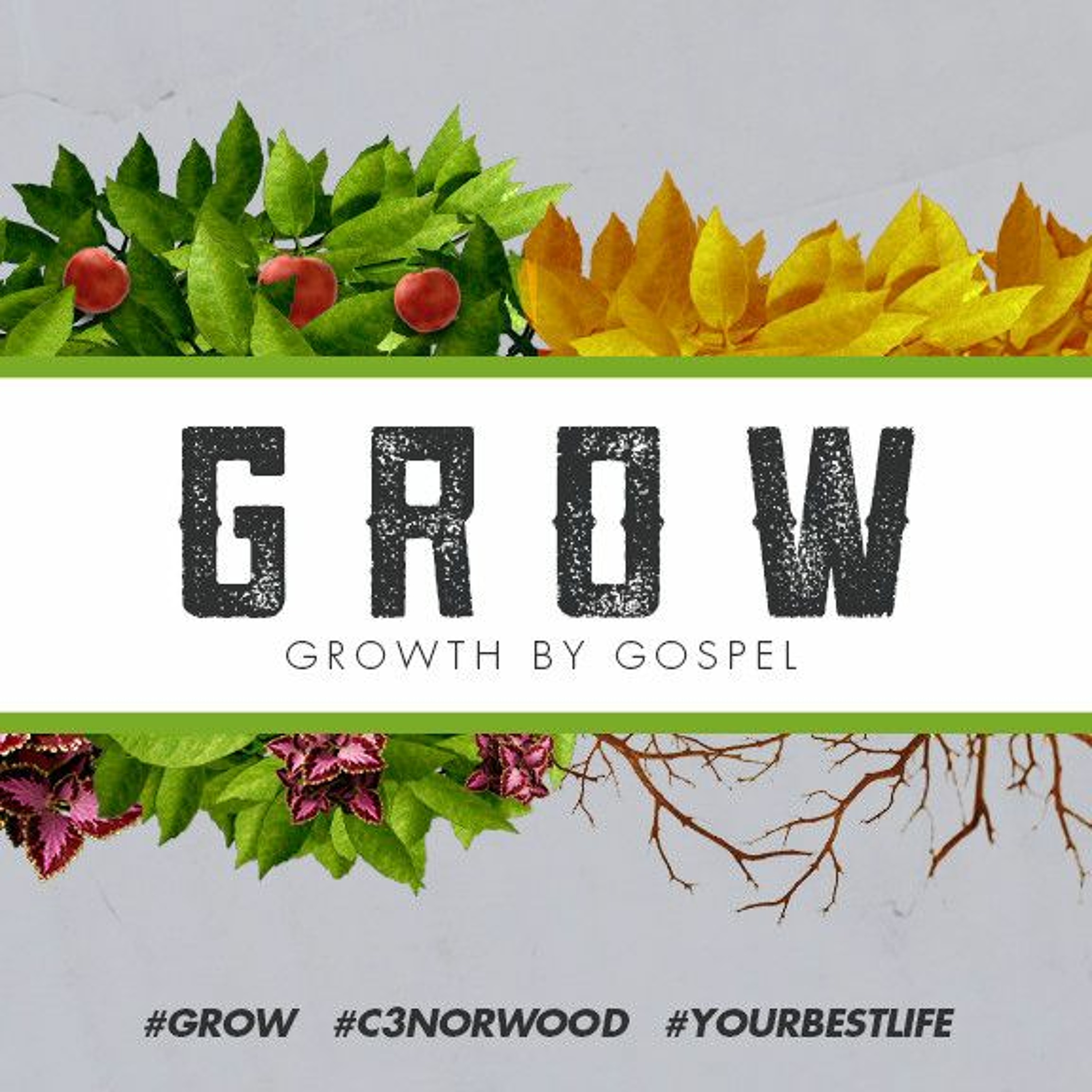 Grow: Growth By Gospel (Part 2) | Chris - September 20th 2015 episode artwork