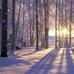Winter Solstice