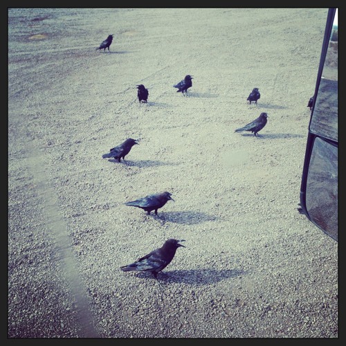 Rock Creek Park ( Do It Mix ) by The Blackbyrds