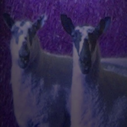 When The Moon Goes Down