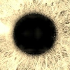 Massive Attack - Teardrop (Prime Movements Rugged Remix)