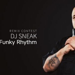 DJ Sneak - Funky Rhythm (Arthur S.  Remix)