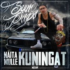 13.Suur Papa - Sitt Päev