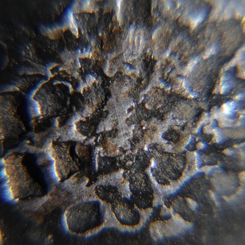 untitled intro [demo]