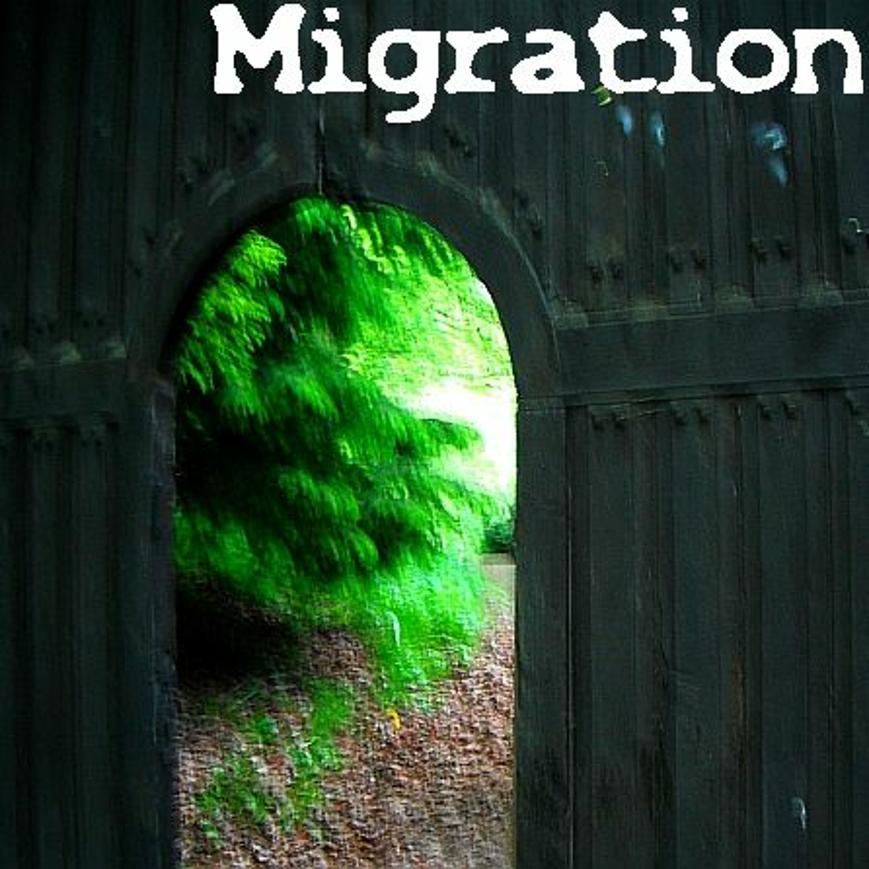 Migration episode artwork