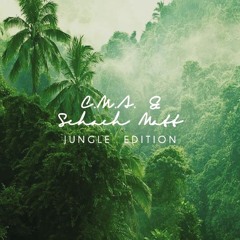 Fat Freddy's Drop - Mother Mother (CMA & Schach Matt Jungle Edition)