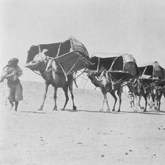 يا راحلين إلى منى- السيد هاشم باروم
