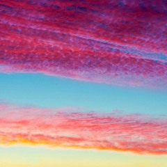 4 Steps From Mexico And Only One corpse in my bag