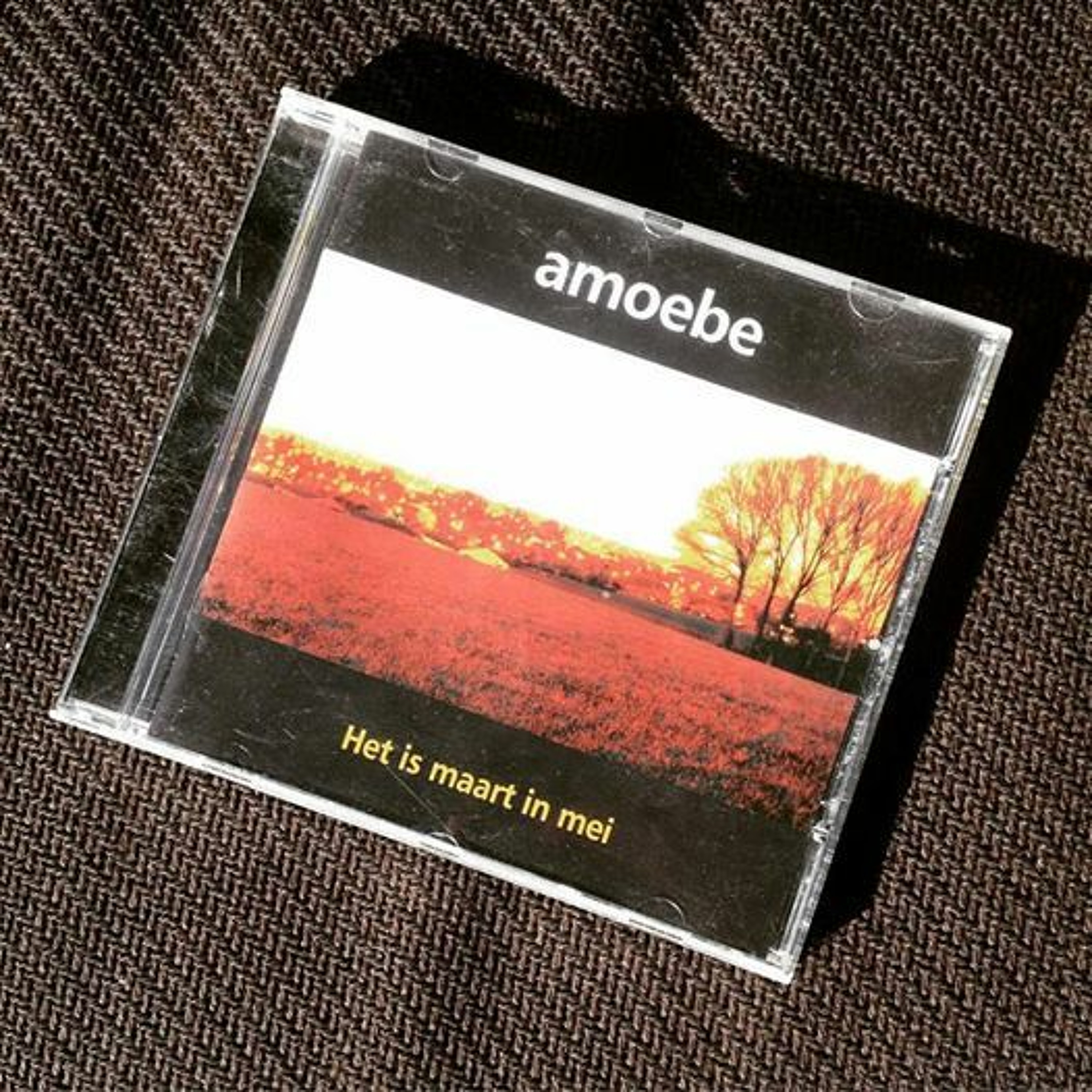 67 Cedric Lemaire (Amoebe, Amherst Avenue, Some Can Whistle)