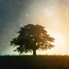 Xarox - Falling Down