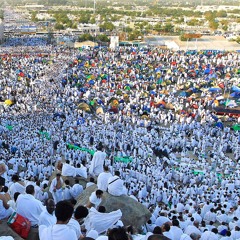 عرفـة وتجديد العهد