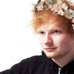 Ed Sheeran - Say It (Cover)