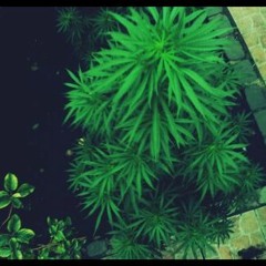 Puertas (prod. AndresBate)