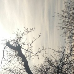 Carpenter Riddim (Free Download)