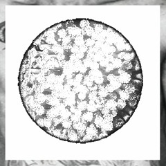 o̩̩̩̩ͩ͑ͩh̩̩̩̩ͩ͑ͩ