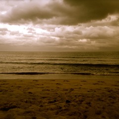 Kill Your Disease (feat. Carly Sokol)