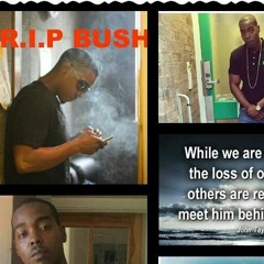 A1FromThe9 -RIP BUSH VIOLENT- #LONGLIVEBUSH! Freestyle!