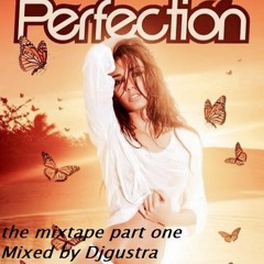 Perfection the mixtape Part one mixed by Djgustra