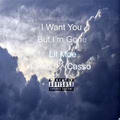 I Want You(Im Gone)