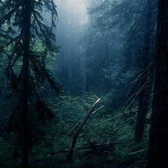 H.D.I.G.H. - Odesza Feat. LO R D B L V K E & 91 theSAGA (Remix)