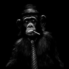 Bohemios - Junkie Monkeys & Jahpeck