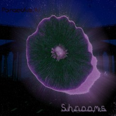 Shrooms: A Journey Through the Abyss