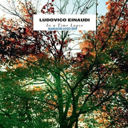 Time Lapse - Ludovico Einaudi (ML Edit)