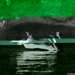 And There She Was, Floating Amongst The Flotsam