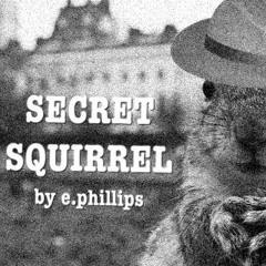 Secret Squirrel v3