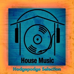 Hodgepodge House Music Selection By Dj Matz