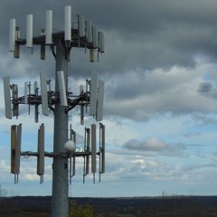 We Dont Mess About Podcast 020 - Sheep (Drum & Bass)