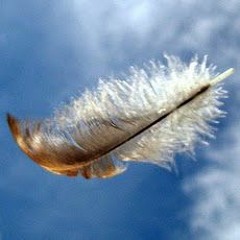 Call Me Crazy (But I'm Free)