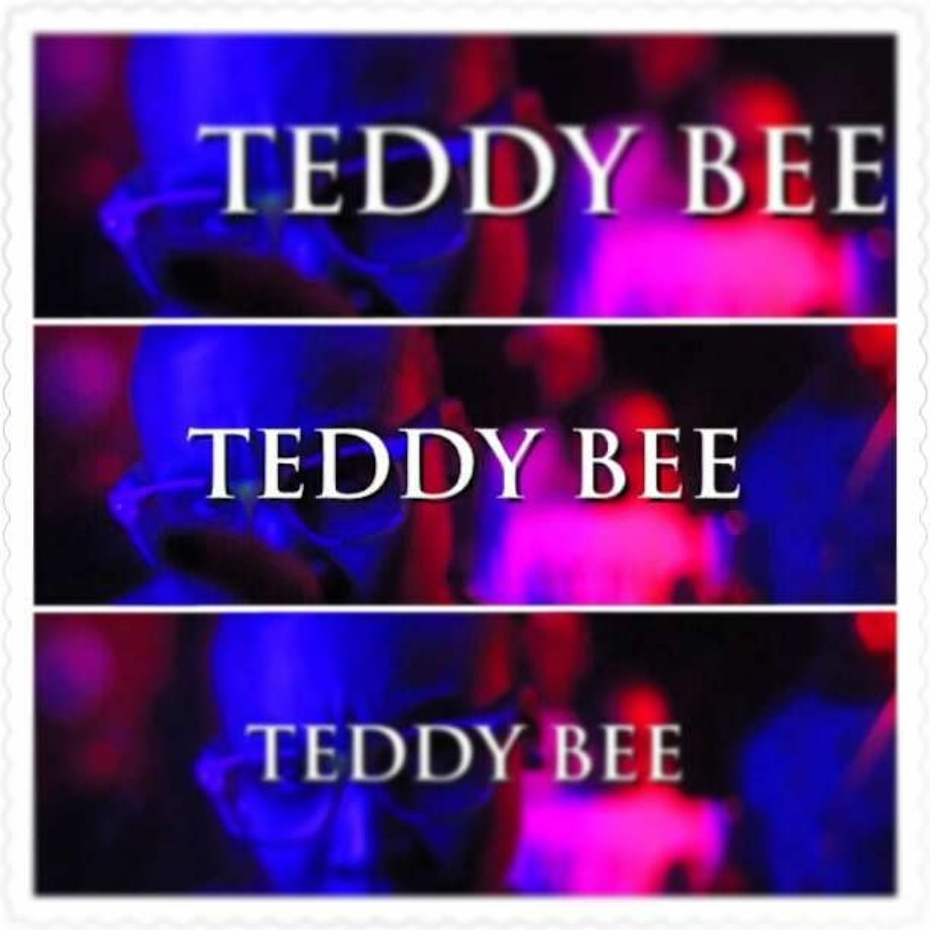 TEDDY~ BEE