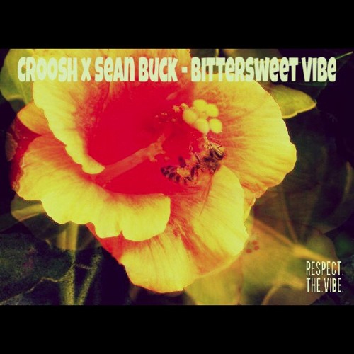 Broot McCoy x El Camino Black - Bittersweet Vibe