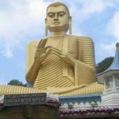 Kostya Nikulin - Windows