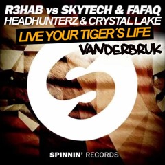 R3hab VS Headhunterz - Live Your Tiger´s Life (VANDERBRUK Tomorrowland edit)