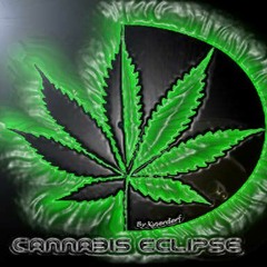 Lonely Gangsta MAXESIDE DEEJAY MIX Reggae Extrai