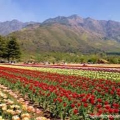 Springtime In My Heart