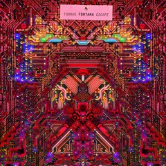 Thomas Fontana - Awake