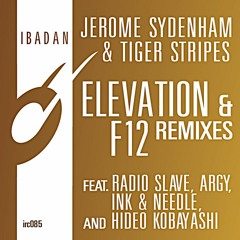 Jerome Sydenham & Tiger Stripes - Elevation (Radio Slave's Panorama Garage Remix)