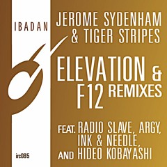 Jerome Sydenham & Tiger Stripes - Elevation (Radio Slave's One More Kiss Remix)