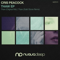 Cris Peacock - Thaw (Original Mix / Solid Stone Remix)