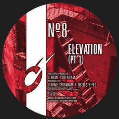 Jerome Sydenham & Tiger Stripes - Elevation (Part 1)