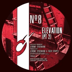 Jerome Sydenham & Tiger Stripes - Elevation (Part 2)