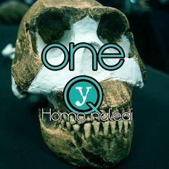 OneQ - Homo naledi