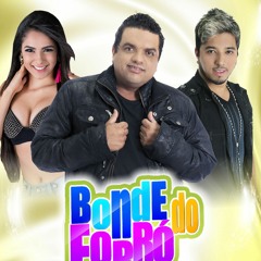 Bonde do Forró - AI QUE PERIGO ( Lançamento 2014 )