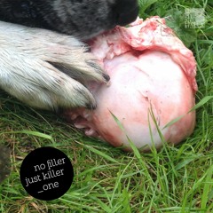 SVT156 – Various Artists – No Filler Just Killer