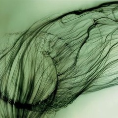 A MicroMovement going Macro