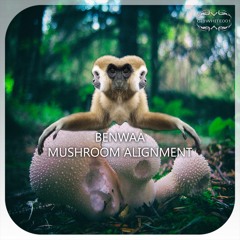 GIBWHITE001 : Benwaa - Mushroom Alignment (Original Mix)